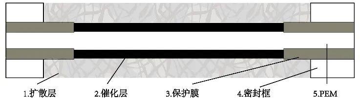 技術專題  第五期 |  質子交換膜衰減機理及耐久性提升方法