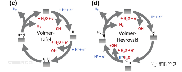 电解水中析氢反应（HER）的基本机理