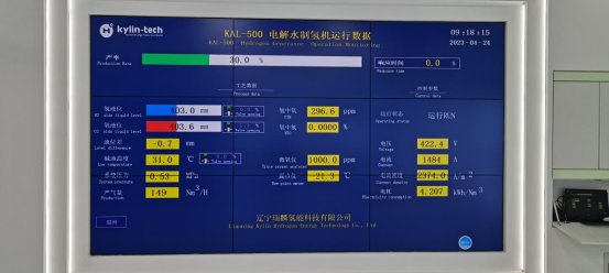 8000电密+20秒全功率响应！多家能源央企、国际巨头见证瑞麟科技创新碱槽6大绝技