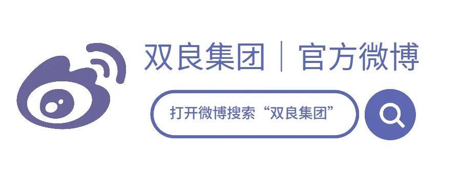 双良携JSDJ S1系列碱性水电解槽新品亮相第六届国际氢能展