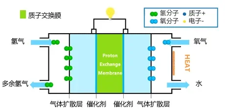 瑞博新材高性能超薄质子交换膜项目成功投产！